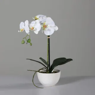 40 cm
