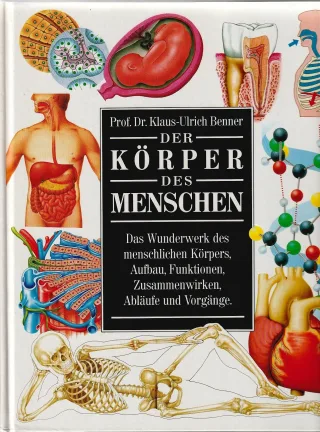 Der Körper des Menschen