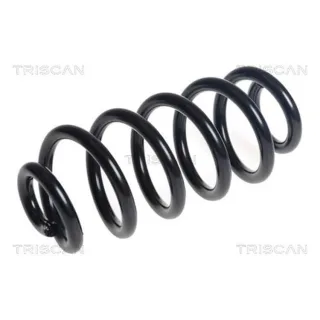 Triscan Feder hinten Nissan Qashqai 2 875014130