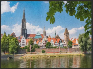 Fussmatte Ulm 4907 | Größe: 60 cm x 45 cm