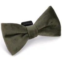 Designed By Lotte Hundefliege Fliege Zaza grün für Hundehalsbänder