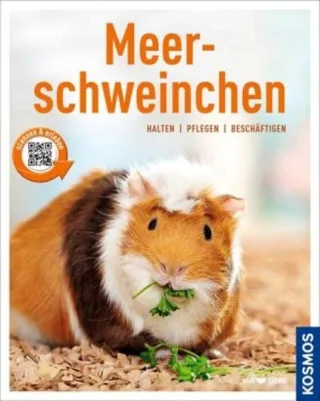 Meerschweinchen: halten pflegen beschäftigen (Mein Tier)
