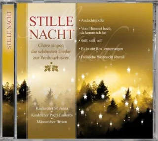 Stille Nacht-Chöre Singen die Schönsten Lieder zur