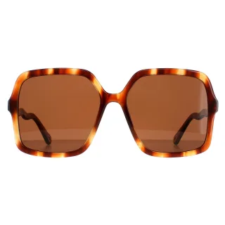 Chloe Quadratisch Damen Havanna Braun CH0086S Zelie