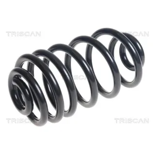Triscan Feder hinten Opel Astra J 875024180