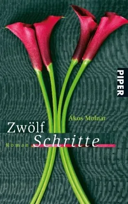 Zwölf Schritte: Roman