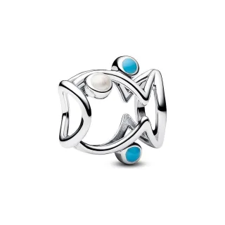 Pandora Charm Moments 793819C01