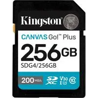 Canvas Go! Plus 256GB SDXC, Speicherkarte schwarz, UHS-I U3, Class 10, V30