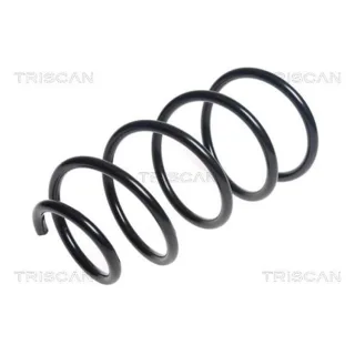 Triscan Feder vorne Mini 875011182