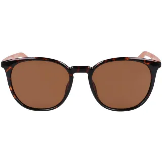 Nike Unisex Erwachsenen Journey Wayfarer Sonnenbrille (Schildpad/Braun)