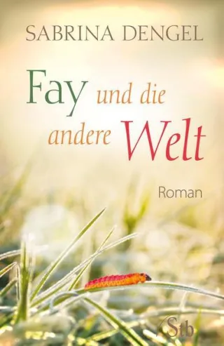 Fay und die andere Welt - Roman