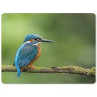 MuchoWow Mauspad Eisvogel - Zweig - Moos - Vogel - Grün (1-St), Gaming, Mousepad Klein, Büro Zubehör, Mausunterlage, 23x19 cm