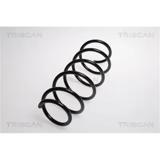 Triscan Feder vorne Fiat Grande Punto 875015106