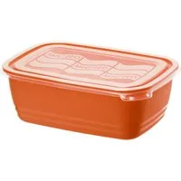 ROTHO Vorratsdose Rotho Mikrowellendose Eco 1,9 L, Kunststoff