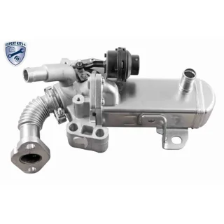 Ackoja AGR-Ventil Nissan Cabstar Navara Pathfinder