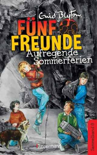 Fünf Freunde - Aufregende Sommerferien - DB 08: Sammelband 08: Fünf Freunde wittern ein Geheimnis/Fünf Freunde auf dem Leuchtturm