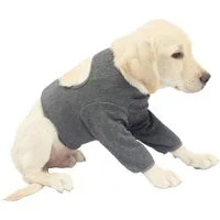 Ledander Stützbandage Hundebody nach OP, Vorderpfotenschutz, Ellenbogenbandage für Hunde, S-3XL