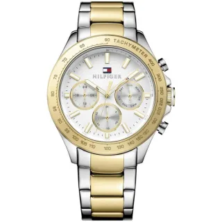 Tommy Hilfiger 1791226 Hudson Zweifarbige Herrenuhr