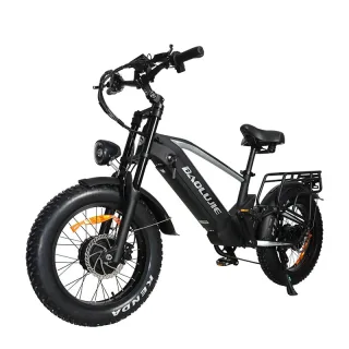 [EU DIRECT] BAOLUJIE DP2011 Electric Bike 48V 20AH Battery 1000W*2 Dual Motors Recommended Top Speed 25KM/H 20*4.0inch T