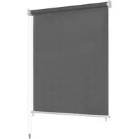 Rollo Außenrollo 165 (B) x 140 (H) cm Anthrazit, vidaXL