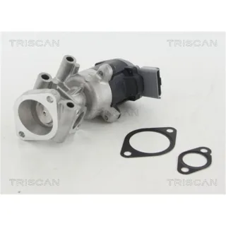 Triscan AGR-Ventil Citroen Jaguar Land Rover Peugeot 2,7 881310009