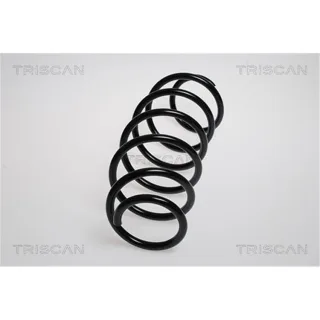 Triscan Feder vorne Peugeot 207 207/207+ 1,4 875028103