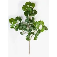 Kunstzweig Deko Ginkgo Sweet Zweig, 50 Blätter, grün, 60cm - Kunstzweig Ginkgo, artplants, Höhe 60.0 cm