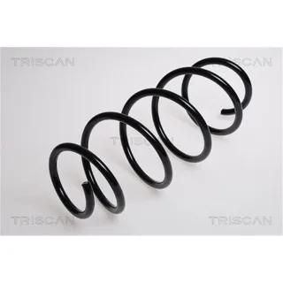Triscan Feder vorne Ford Fiesta 5 875016008