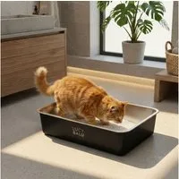 LucyBalu Katzentoilette STEELOO Edelstahl Katzenklo geruchsfrei, Katzentoilette aus Edelstahl