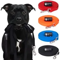 Reichstadt Hundeleine RS Pets Führleine PVC 25RSP086, PVC, Weiche Handschlaufe mit Soft-Wrist-Strap