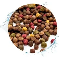 Warnick´s Tierfutterservice Koifutter 5-Sorten Mix mit Spirulina - in 3mm, 6mm oder 3-6mm 6mm, Alleinfuttermittel für: Koi, Zierfische, Teichfische, Fische