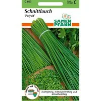 SAMEN PFANN Kräutersamen Schnittlauch, Polyvit - Gewürz Saatgut Schnittlauch-Samen, Allium schoenoprasum