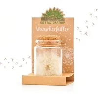 Trockenblume Wunscherfüller, Perfekte Geschenkidee für jeden Anlass Pusteblume, Die Stadtgärtner, Echte Pusteblume