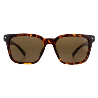 Polaroid Square Unisex dunkle Havanna Bronze polarisierte Sonnenbrille