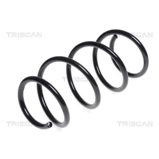 Triscan Feder vorne Nissan Note 875014116