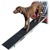 Petigi Hunderampe Auto Einstiegshilfe Hunderampe Hundetreppe Rampe Klappbar 183 x 38 cm
