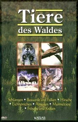 Tiere des Waldes [DVD]