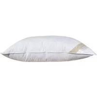 Betten Hofmann Kopfkissen Betten Hofmann Extrem Volumen Kopfkissen 50x75 cm sehr fest 1500 g, Füllung: 85% Federn, 15% Daunen, Bezug: 100% Baumwolle, Seitenschläfer, strapazierfähig, fest und stützend, made in Germany