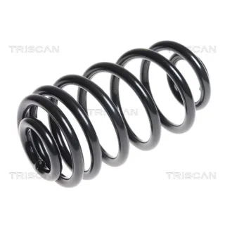 Triscan Feder hinten Opel Insignia A 875024166