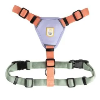 Woolly Wolf Geschirr Color Block Salmon Pink Mix L