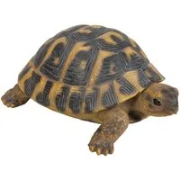 Dehner Gartenfigur Schildkröte, 7.7 x 17 x 11.7 cm, Polyresin