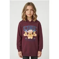 Name It Hoodie NKFRYCCA LS NREG SWEAT WH BRU BOX