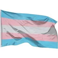 PHENO FLAGS Flagge Transgender Pride Flagge LGBT 90 x 150 cm Transsexuell Fahne (Hissflagge für Fahnenmast), Inkl. 2 Messing Ösen