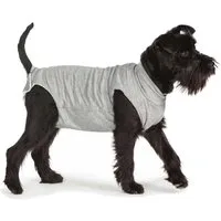 Fashion Dog OP-Body Cura Pets Wundschutz-Body für Hunde und Katzen Ladies