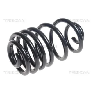 Triscan Feder hinten Chevrolet Trax Opel Mokka 875024201