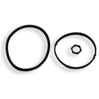 Elring Dichtungssatz f?r ?lfilter Citroen Fiat Peugeot 399.510