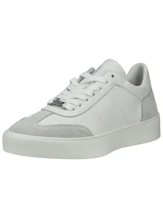 STEVE MADDEN Sneaker "STEVE MADDEN Sneaker Veloursleder"