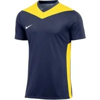 Nike Fußballtrikot Nike Performance Park Derby IV Trikot Kids Teamsport