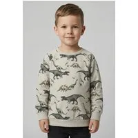 Name It Sweatshirt NMMBERTIL LS NREG SWEAT BRU