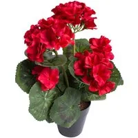 Kunstblume Geranienbusch mit 6 Blütenköpfen, Botanic-Haus, Höhe 30 cm